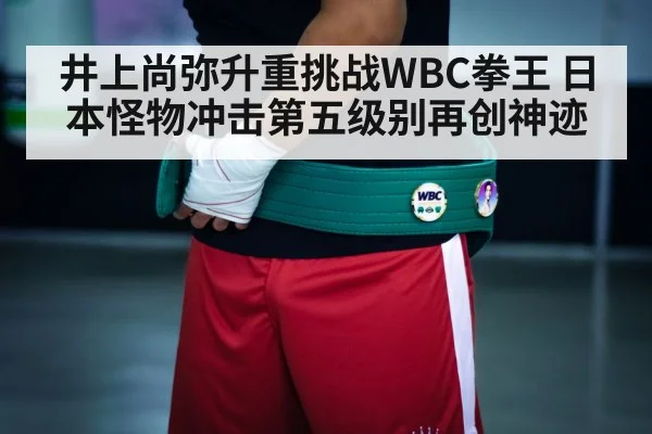 boxing champion belt