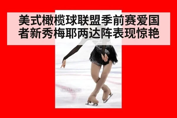 美式橄榄球联盟季前赛爱国者新秀梅耶两达阵表现惊艳