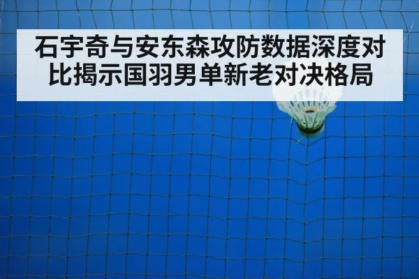 badminton net play